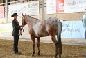 21-ApHC HMC_096